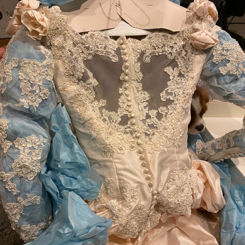 Priscilla of Boston Wedding Gown - Picture 5 of 12